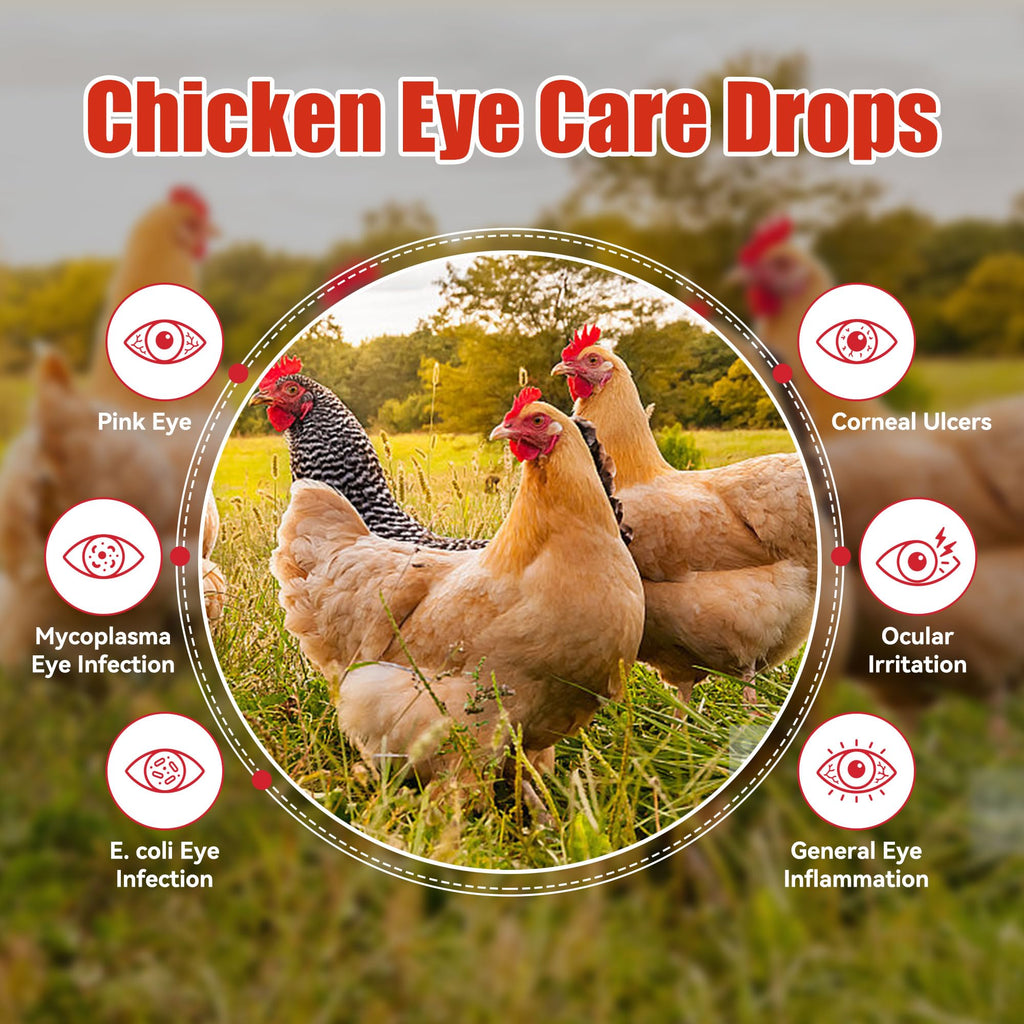 Chickens Eye Care Drops for Chickens, Ducks & Birds – Improve the Eye Health – Improve Egg Quality – Supports Clear Vision & Healthy Eyes – 15 mL (0.5 fl oz)