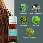 Buy now Plant Therapy KidSafe Get 'Em Gone Synergy Essential Oil 10 ml (1/3 oz) 100% Pure, Undiluted, Therapeutic Grade at indiglob india
