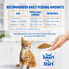 Purina Kitten Chow Year One Essentials Dry Kitten Food, (4) 3.15 lb Bags