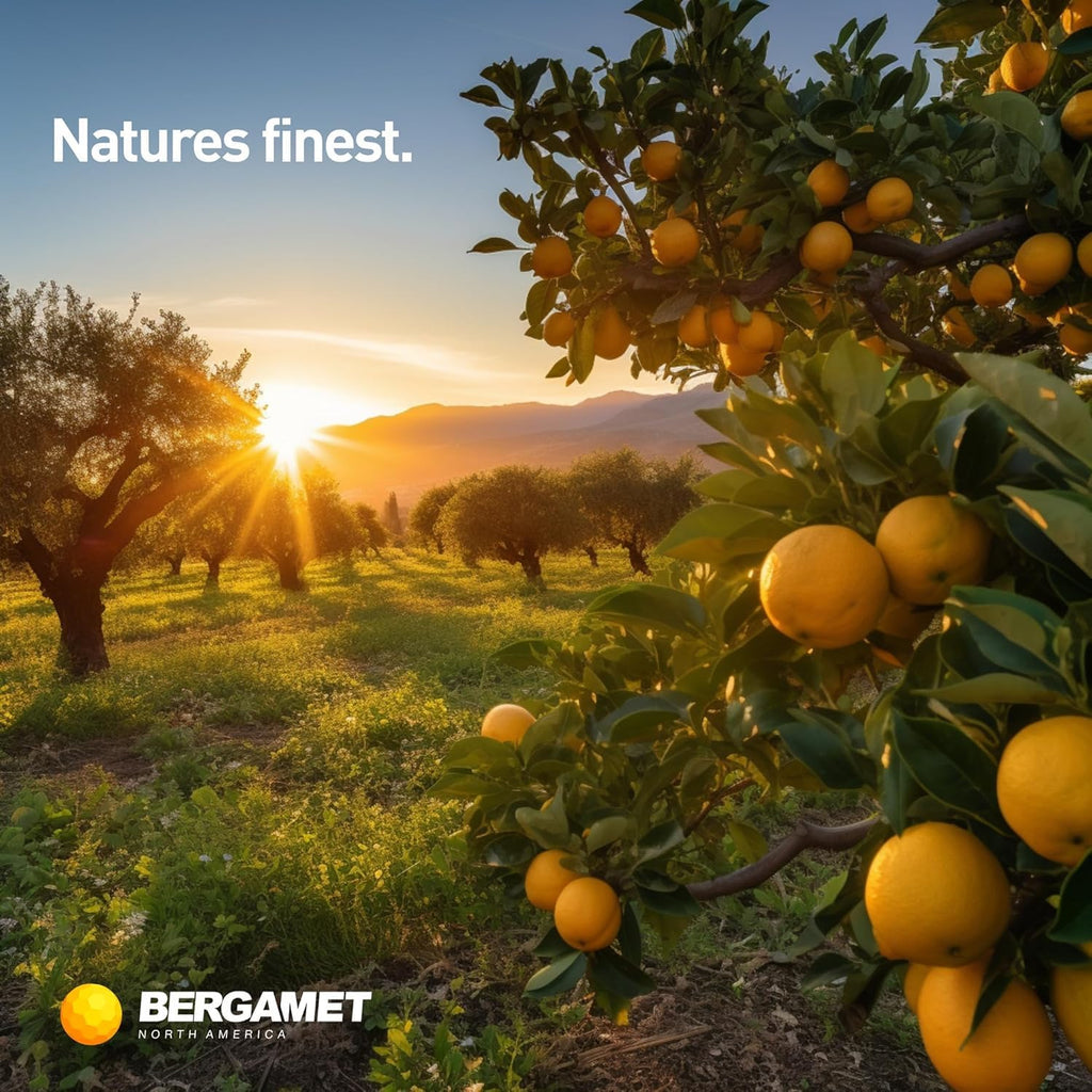 Citrus Bergamot Supplement, 170:1 Extract, 1200mg, 80% Polyphenols, Italian Citrus Bergamot Supplement, 60 Capsules, 1 Month, Made in the USA