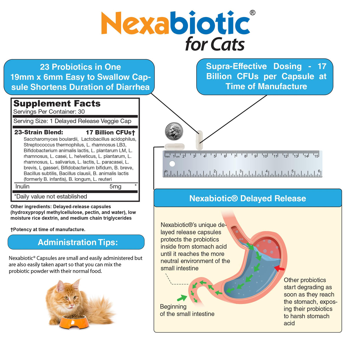 DrFormulas Nexabiotic Probiotics for Cats Powder | Treats Diarrhea for Pets with Saccharomyces Boulardii Lactobacillus Acidophilus, Best Probiotics Supplement for Digestive Health 30 Capsule