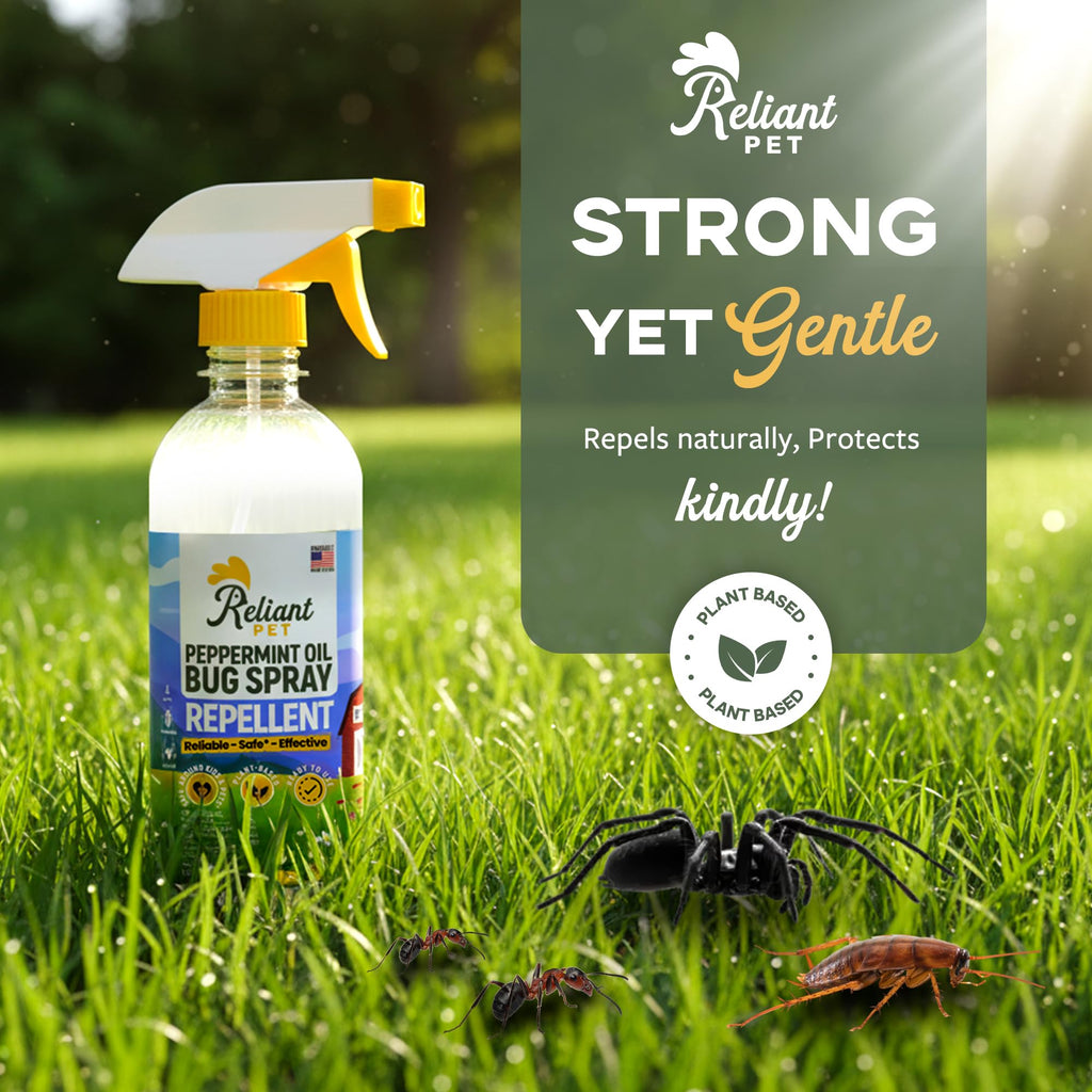 Reliant Pet - Peppermint Oil Spray for Bugs - 16oz - Insect and Pest Control Spray - Bug Spray That's Safe, Reliable, Effective - Made in USA - Ant, Spider, and Roach Spray Indoor