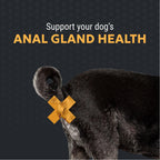 Nutramax Filaquin Anal Gland Supplement for Dogs, Soft Chews, 90ct