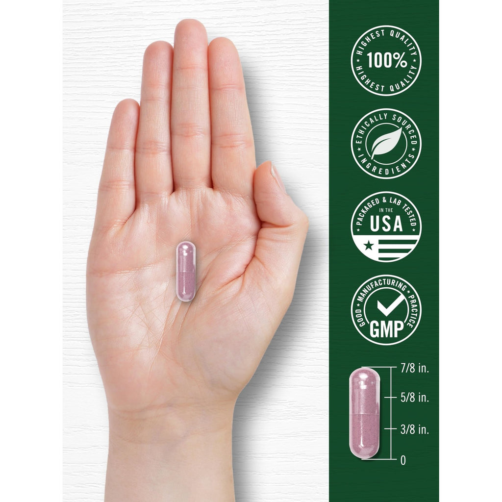 Carlyle Tart Cherry Capsules | 200 Pills | Max Potency | Non-GMO, Gluten Free | Tart Cherry Juice Extract