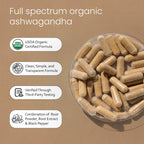 NaturaLife Labs Organic Ashwagandha 2100 mg per Serving – Full Spectrum Root Powder and Standardized Extract (Withanolides) – 100 Capsules – Vegan – Non-GMO, Gluten-Free