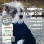 HomeoPet Nose Relief, Sinus Supplement for Dogs and Cats, 15 Milliliters