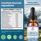 Lymphatic Drainage Support Drops – Advanced 11-in-1 Herbal Extract Formula with Echinacea, Dandelion, Elderberry & Milk Thistle – Multi-Herb Liquid for Fluid Balance & Healthy Circulation – 1 Fl Oz