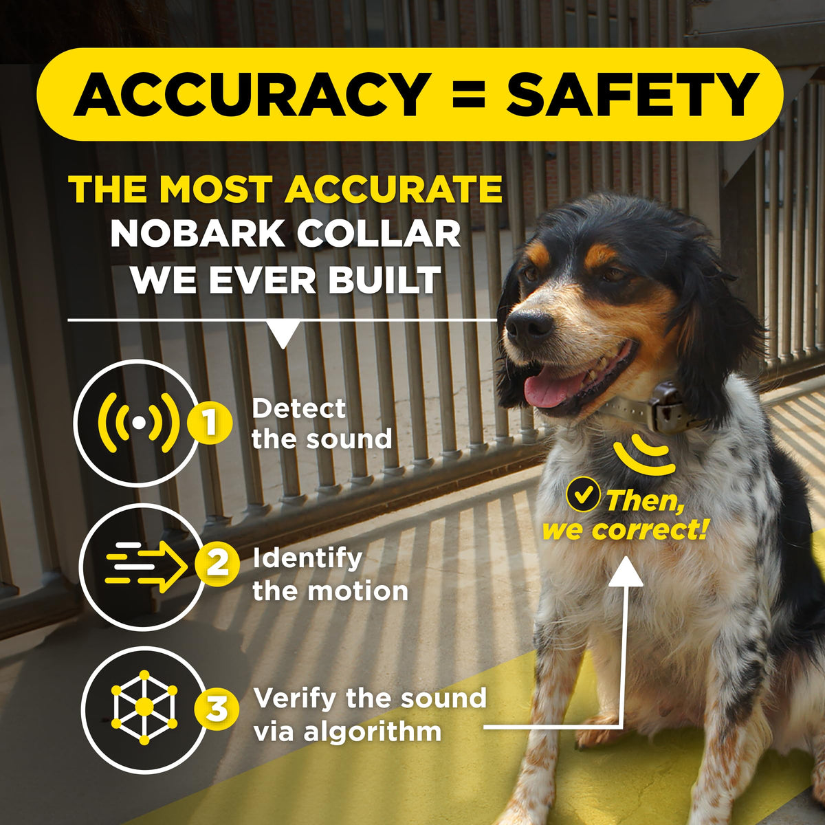 Dogtra Smart NOBARK Detects Whining and Barking, 33 ft Range App for Notifications, E-Collar, Behavior Report, Waterproof IPX9K, Compact Size for 10 lb Dogs, Triple Detection Accuracy