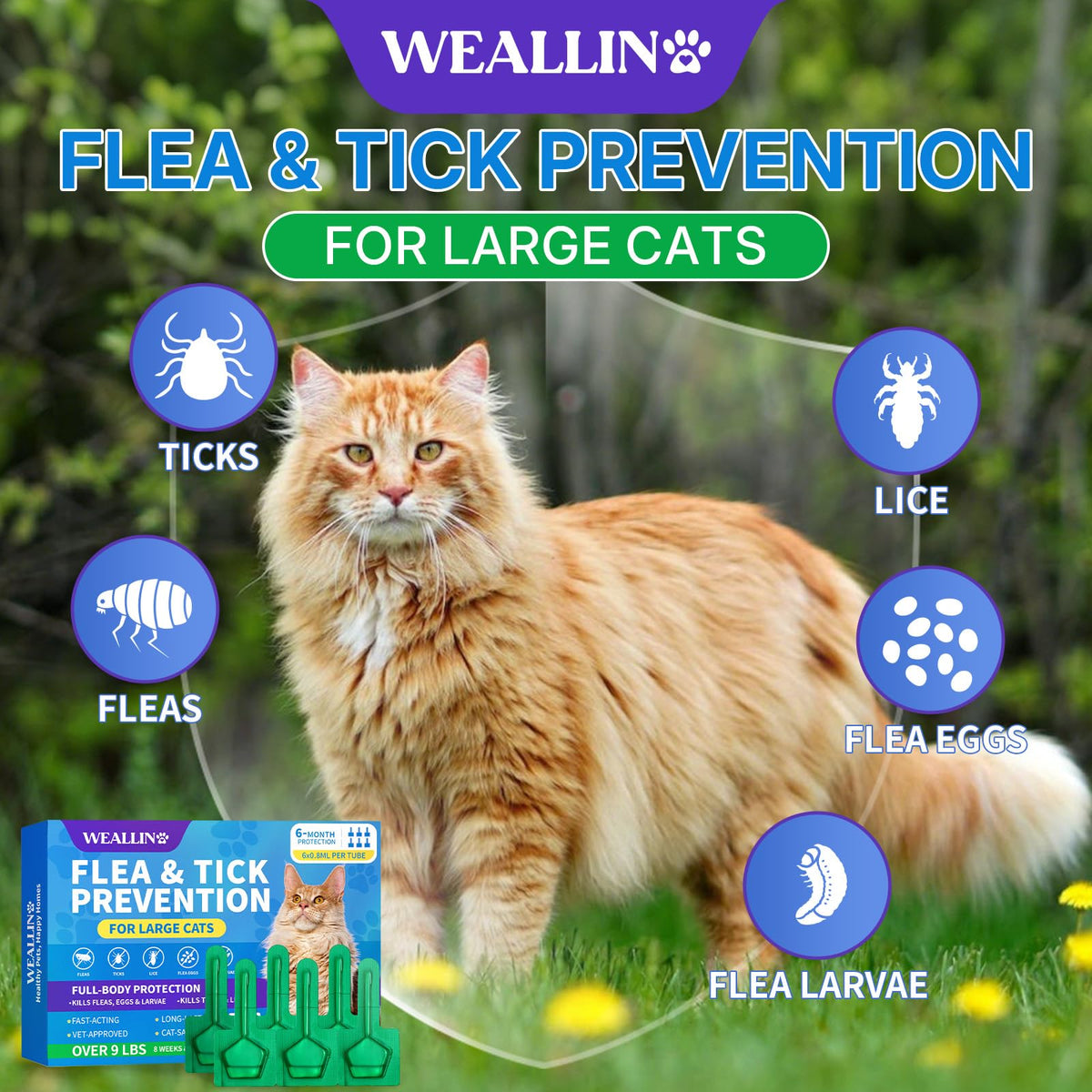 Flea and Tick Prevention for Large Cat, Fleas and Ticks Treatment for Cats