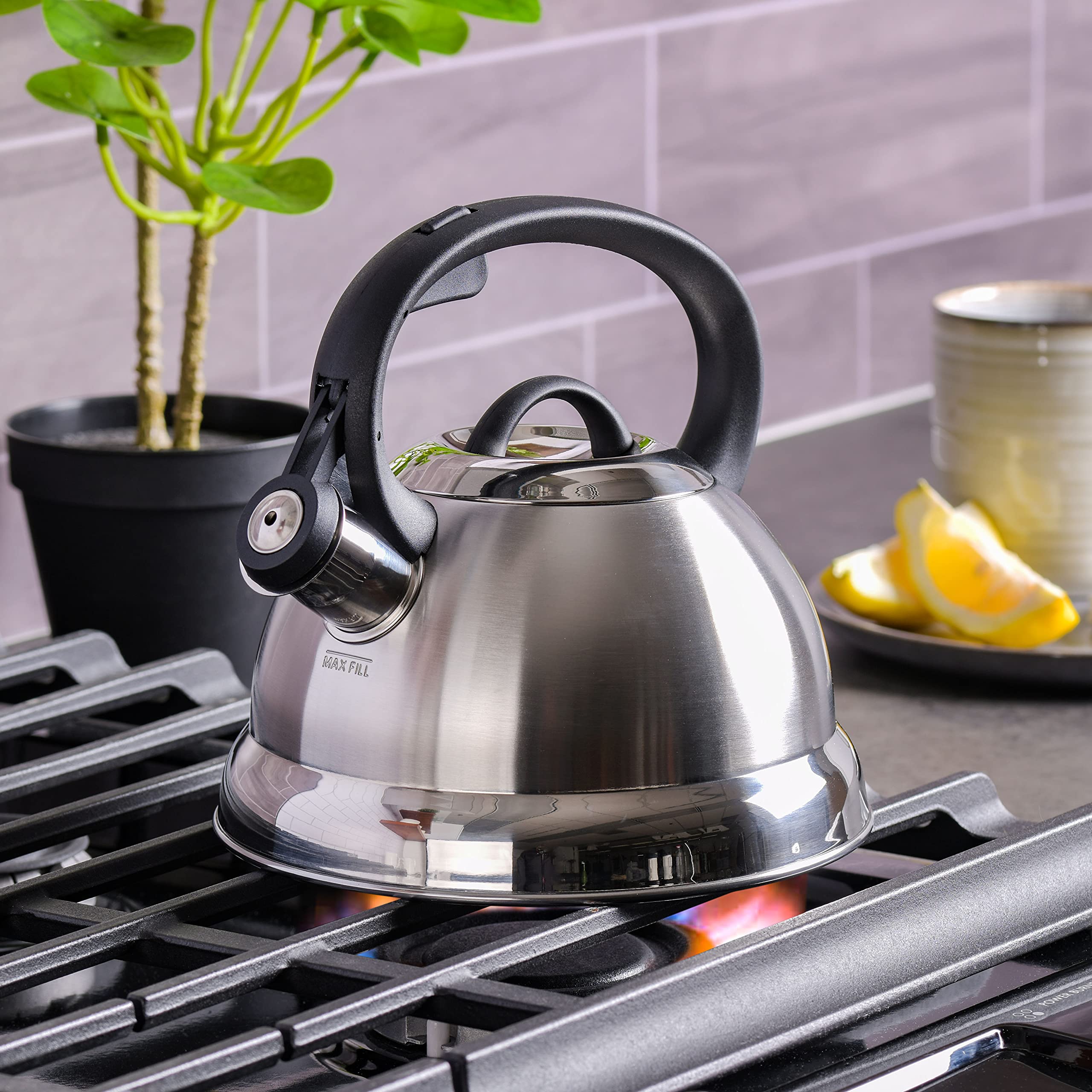 Buy now Mr. Coffee Flintshire 1.75-Quart Stainless Steel Whistling Tea Kettle â€“ Brushed Satin Finish Stove-Top Kettle for Boiling Water at indiglob india