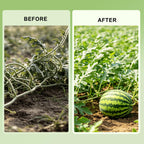 150 Pcs Reusable U-Shaped Plastic Garden pins Serve as Secure Anchor Clips for Plant cuttings, Effectively Supporting Strawberry Runners and Vines to Promote Rooting.