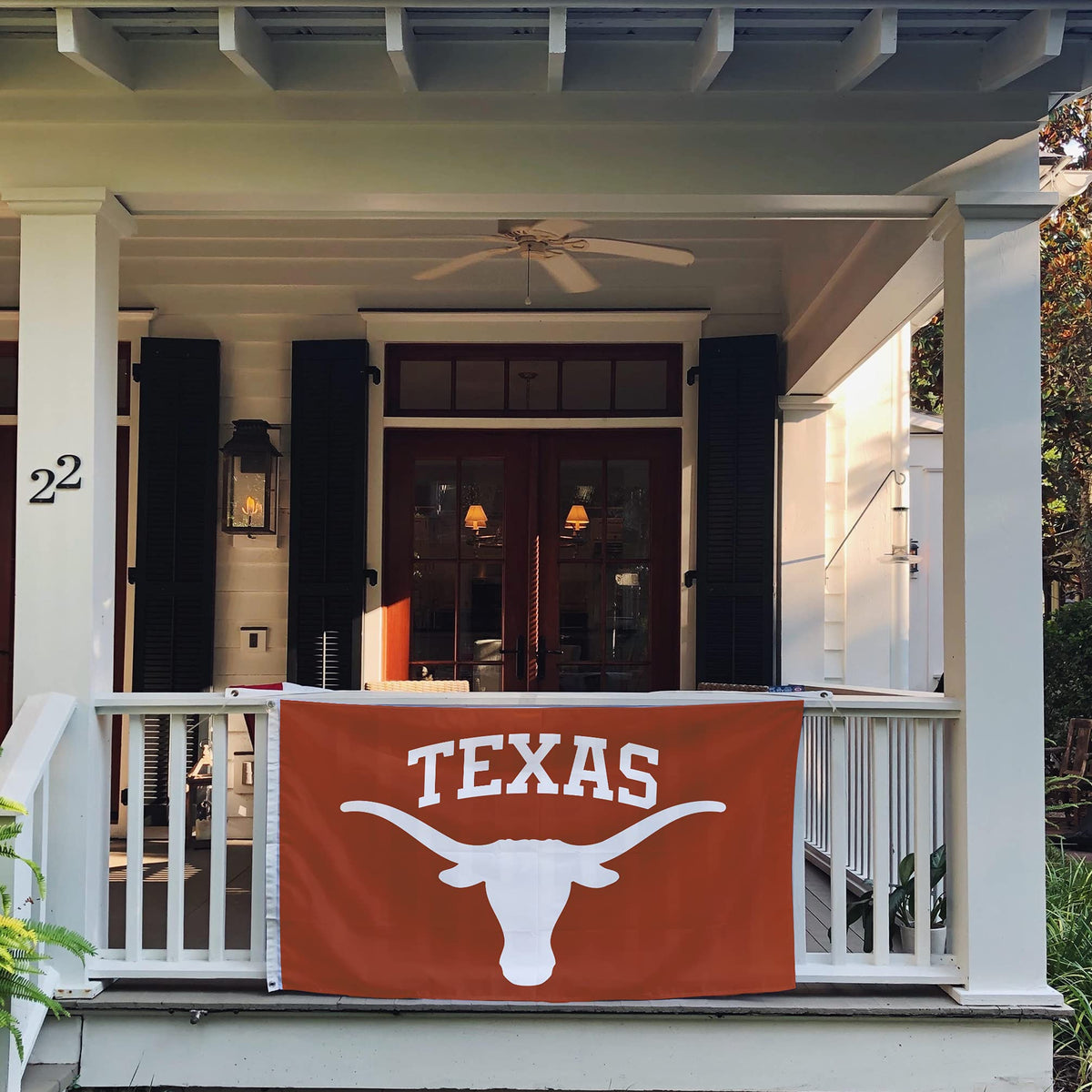 Desert Cactus University of Texas Austin Longhorns Flag 3x5 Outdoor (#4)