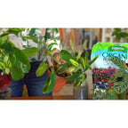 Espoma Organic Potting Soil Mix - All Natural Potting Mix for All Indoor & Outdoor Containers Including Herbs & Vegetables. for Organic Gardening, 4qt. Bag. Pack of 1