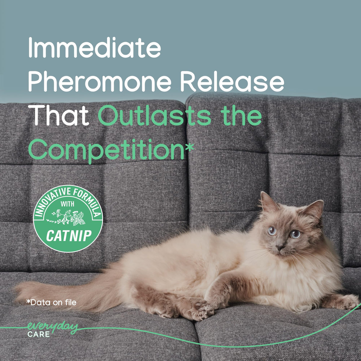 ZENIFEL Gel Diffuser Cat Calming Pheromone|Supports Stress Relief