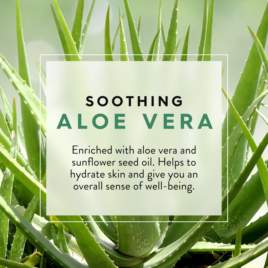 Buy now JASON Aloe Vera Soothing Body Wash, For a Gentle Feeling Clean, 30 Fluid Ounces at indiglob india