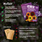 125 Autumn Beauty Mix Sunflower Heirloom Flower Seeds, Helianthus Annuus