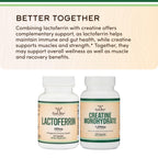 Lactoferrin 250mg Bioferrin, Immune, Gut + Iron Absorption, 60 Capsules | Immune, Gut + Iron Absorption Supplement, Patented Bioferrin, 250mg per Serving, Partially Iron-Saturated, No Taste