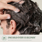 Tea Tree Special Shampoo, Deep Cleans, Refreshes Scalp, For All Hair Types, Especially Oily Hair