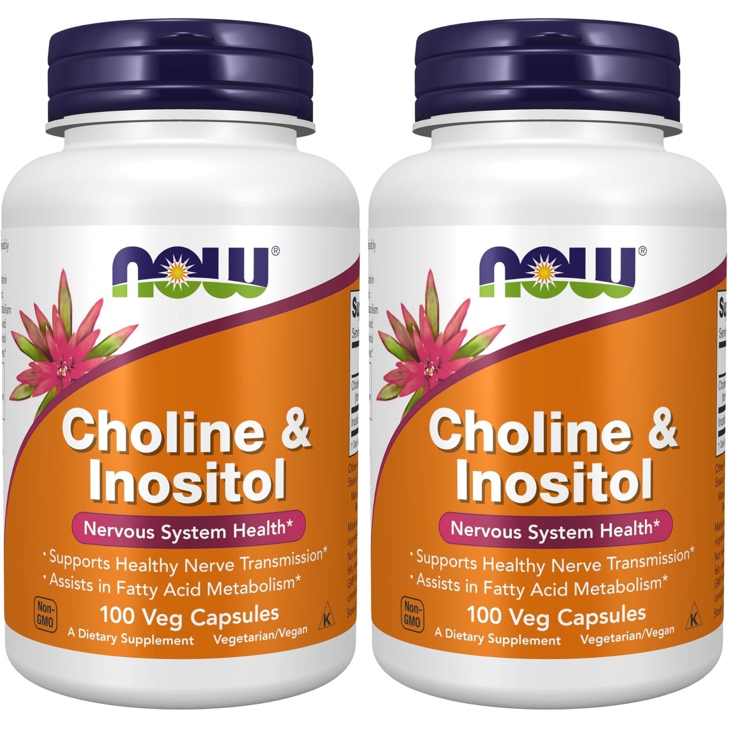 NOW Foods Supplements, Choline & Inositol 500 mg, Healthy Nerve Transmission*, Nervous System Health*, 100 Capsules