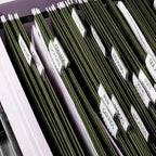 Hanging File Folders, RAZCC 60 Pack Reinforced Hanging Folders Legal Size, Designed for Bulky Files, Filing Cabinet, Adjustable Tabs, Green