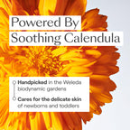 Weleda Baby Calendula 2-in-1 Gentle Shampoo and Body Wash, 6.8 Fluid Ounce, Plant Rich Cleanser with Calendula and Sweet Almond Oil