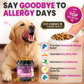 Dog Allergy Chews is Human Grade Itch Relief Multivitamin & Immune Yeast