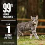 Buy now ORIJEN Freeze Dried Cat Treats Grain Free High Protein Raw Animal Ingredients Original 1.25oz Bag at indiglob india