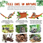 Buy now 5Pcs Sugar Glider Supplies Cage Accessories Hammock Set Hanging Bed Hideout for Small Animal Pets Hamster Guinea Pig Squirrel Gerbils at indiglob india