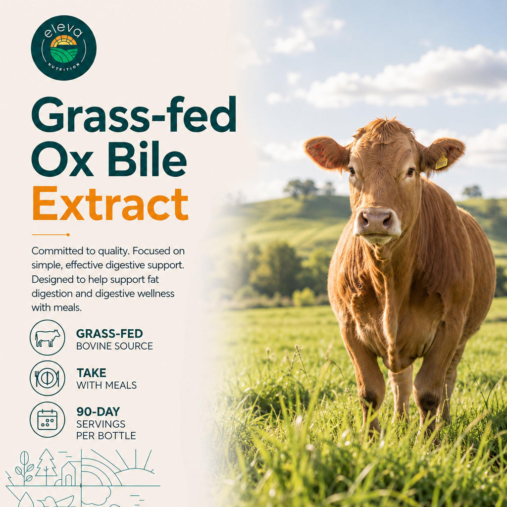 Grass-Fed Ox Bile 1000mg Extract - Digestive Enzymes Support - Ox Bile Salts for No Gallbladder - Supplements with Black Pepper - Supports Digestive Health - Bovine Salts Supplement - 180 Count