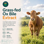 Grass-Fed Ox Bile 1000mg Extract - Digestive Enzymes Support - Ox Bile Salts for No Gallbladder - Supplements with Black Pepper - Supports Digestive Health - Bovine Salts Supplement - 180 Count