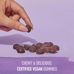 Garden of Life Organics Elderberry Gummies for Adults & Kids - Immune Support Supplement with Organic Fruit, Herbal Blend, Elderberry, Echinacea, Zinc, Vitamin C, 120 Vegan Gluten Free Gummies