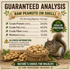 Office Roast Raw Peanuts in Shell 2 lb Bag – Unsalted, Natural & Healthy Snack – Plain Peanuts for Squirrels, Birds & Wildlife Feed