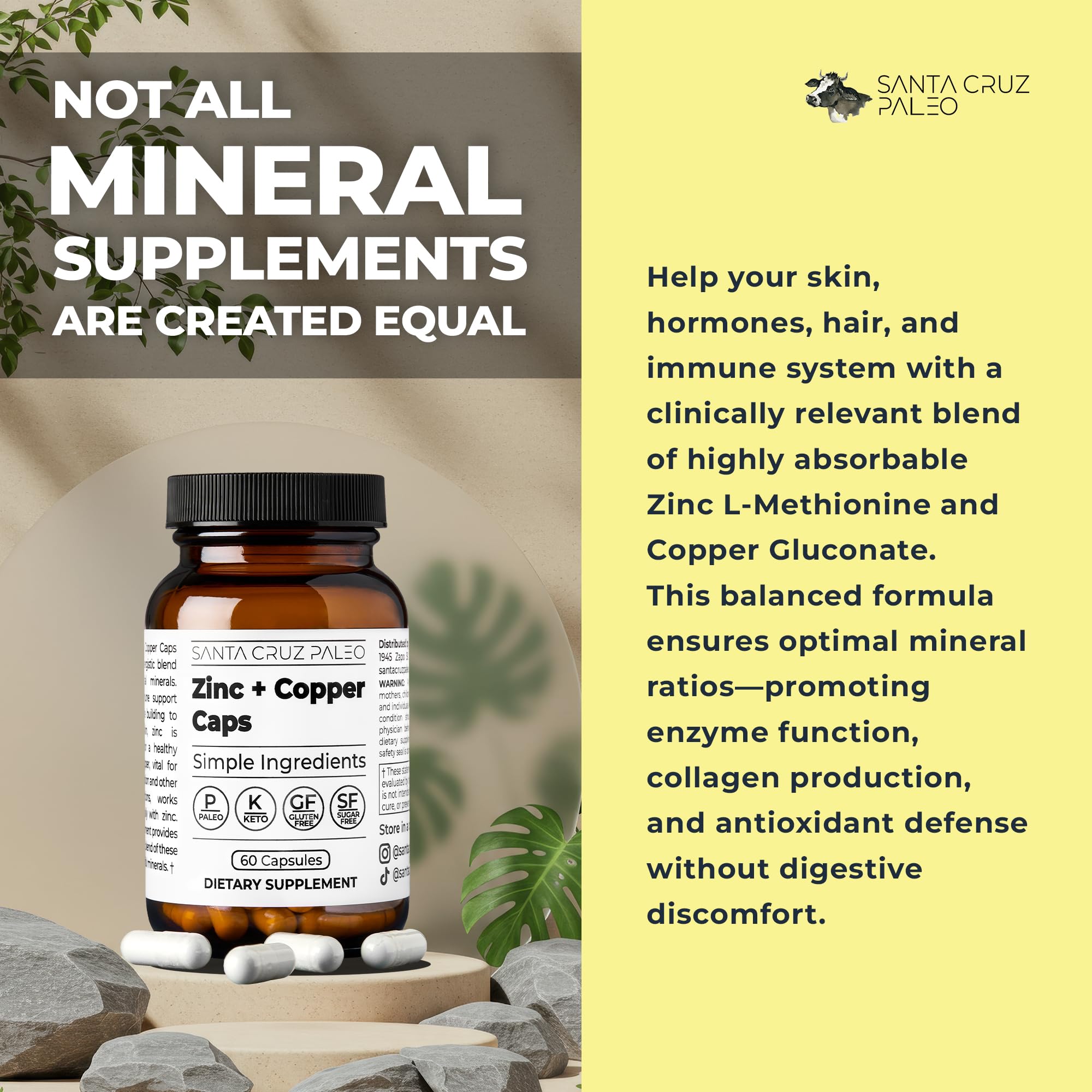 Santa Cruz Paleo, Zinc & Copper Mineral Supplement, High Absorption Formula, Zinc Supplement for Skin & Hair, L Methionine, Copper Gluconate, Trace Minerals, Gluten Free, Keto, Paleo, 60 Capsules