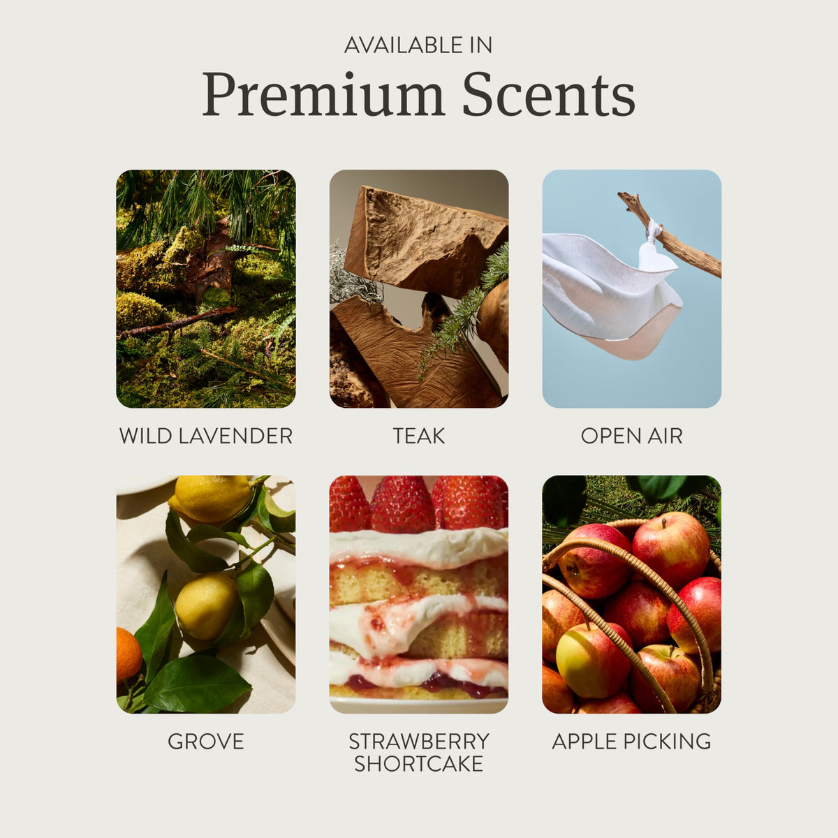 Drift Home Scent Diffuser Starter Kit in Open Air - Adjustable and Long Lasting Diffuser Aroma - Clean Ingredients, Pet Safe