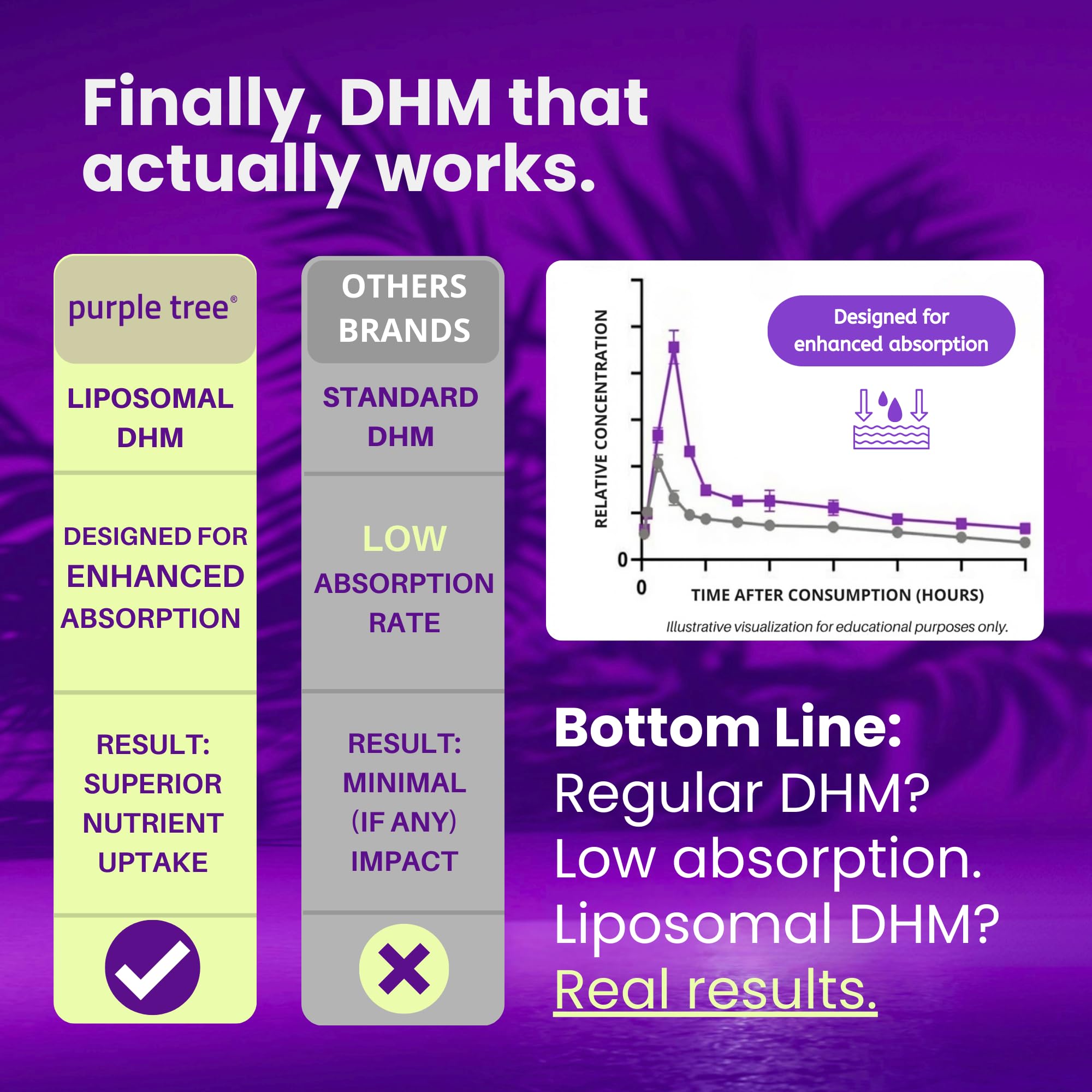 purple tree Post-Celebration Wellness Supplement | Liposomal Dihydromyricetin (DHM), L-Glutathione, Milk Thistle for Liver Support & Hydration | Electrolytes, B Vitamins, Willow Bark | 60 Capsules