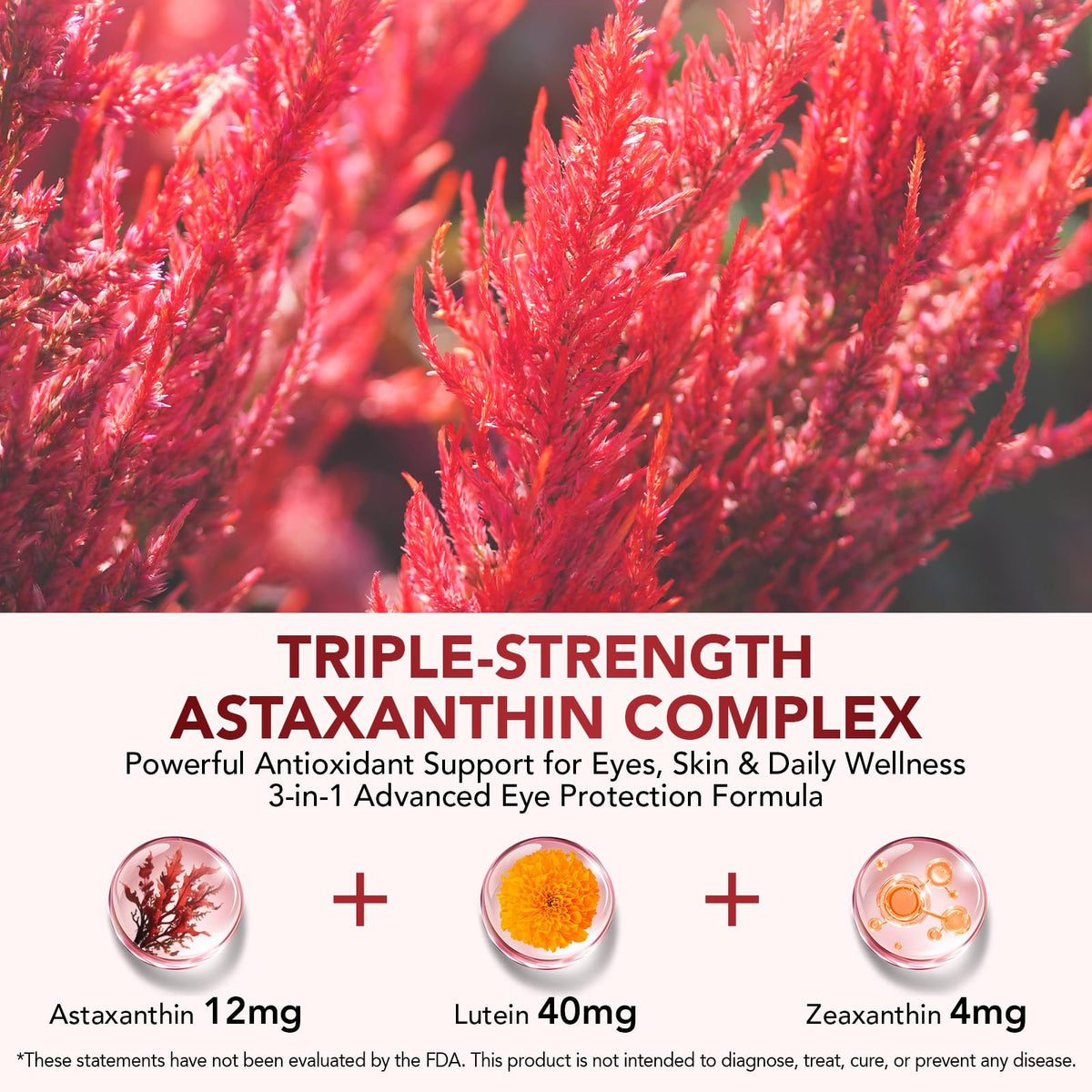 Astaxanthin 12mg & Lutein 40mg with Zeaxanthin Supplements, Fresh Microalgae Source, Supports Eye, Skin, Antioxidant, Joint, Circulatory Health, Gluten Free, 4 Month Supply | 120 Softgels