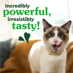 Buy now Greenies Feline Veterinarian-Recommended Adult Natural Dental Cat Treats, Catnip Flavor, 21 oz. Tub at indiglob india