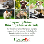 HomeoPet Nose Relief, Sinus Supplement for Dogs and Cats, 15 Milliliters