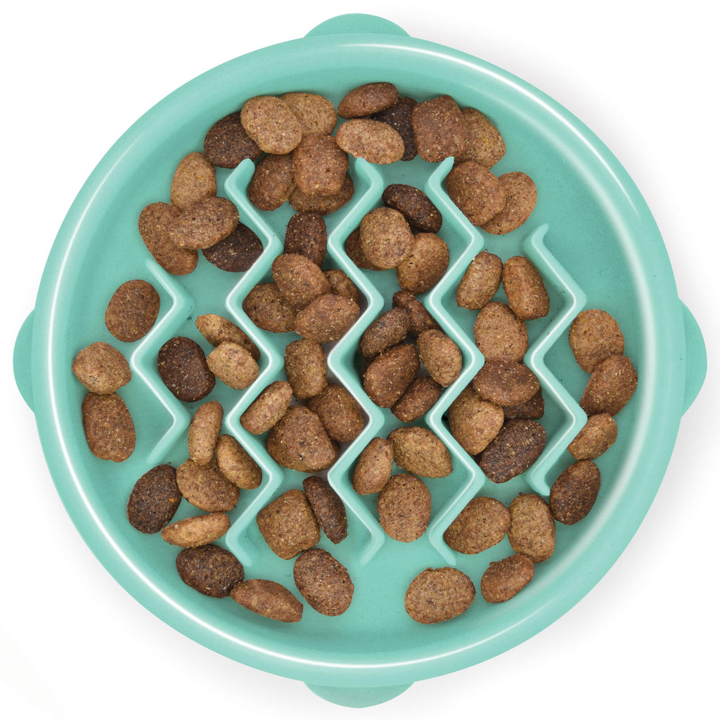 Outward Hound Fun Feeder Slo Bowl Dog Slow Feeder, Wave, Mint, 5.8"