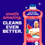 Mr. Clean All Purpose Cleaner, Mop Soap, Floor Cleaner for Mopping Home, Bathroom, & Kitchen, Cleaning Liquid for Mop & Bucket, Cleaning Supplies, Multi-Surface Dilutable, Watermelon, 41oz