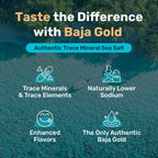 Buy now Baja Gold Mineral Sea Salt - Recommended by Gary Brecka - Fine Grind Salt for Cooking & Baking | Natural Baja Salt for Culinary Uses | Great for Finishing Dishes | 1 lb. Resealable Bag, 300+ Servings. at indiglob india
