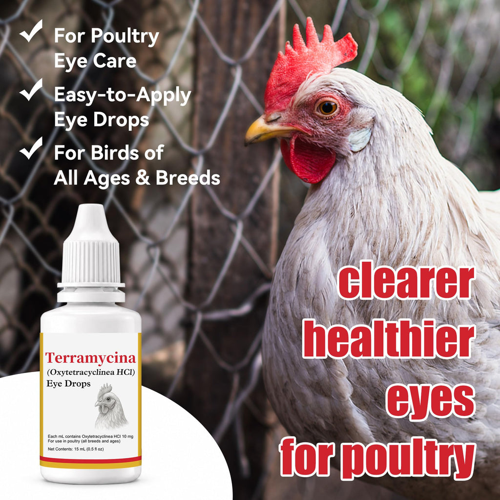 Chickens Eye Care Drops for Chickens, Ducks & Birds – Improve the Eye Health – Improve Egg Quality – Supports Clear Vision & Healthy Eyes – 15 mL (0.5 fl oz)