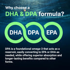 Micro Ingredients Vegan Omega 3 Algae Oil, 240 Veggie Softgels | Fish Oil Alternative | DHA 500mg & DPA 100mg | Carrageenan Free | Plant-Based Omega 3 with Flaxseed & ALA | Lemon Flavored