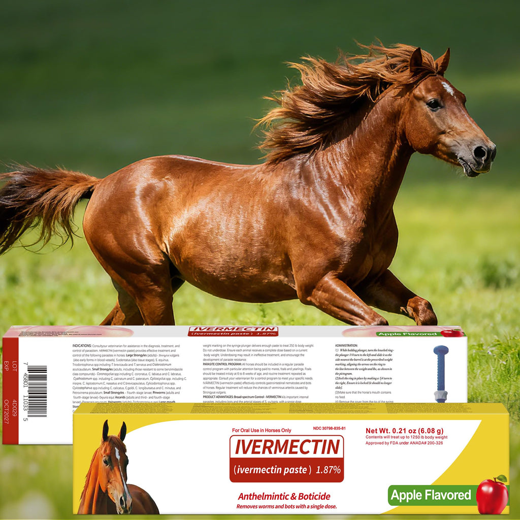 Horse Paste 1.87% – 12 Pack (6.08g Each) Apple Flavored Oral for Horses