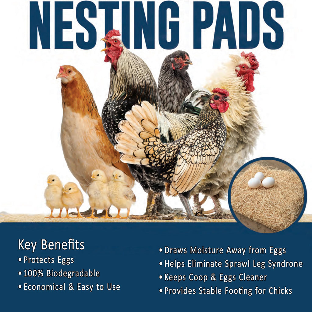 Chicken Nesting Pads for Chicken Coop Accessories - 12 Pack - USA Aspen - Professional Grade Excelsior Bedding - Easy Clean Up - Absorbs Moisture 100% Natural, Liners for Laying Hens - Fits 12x12 Box