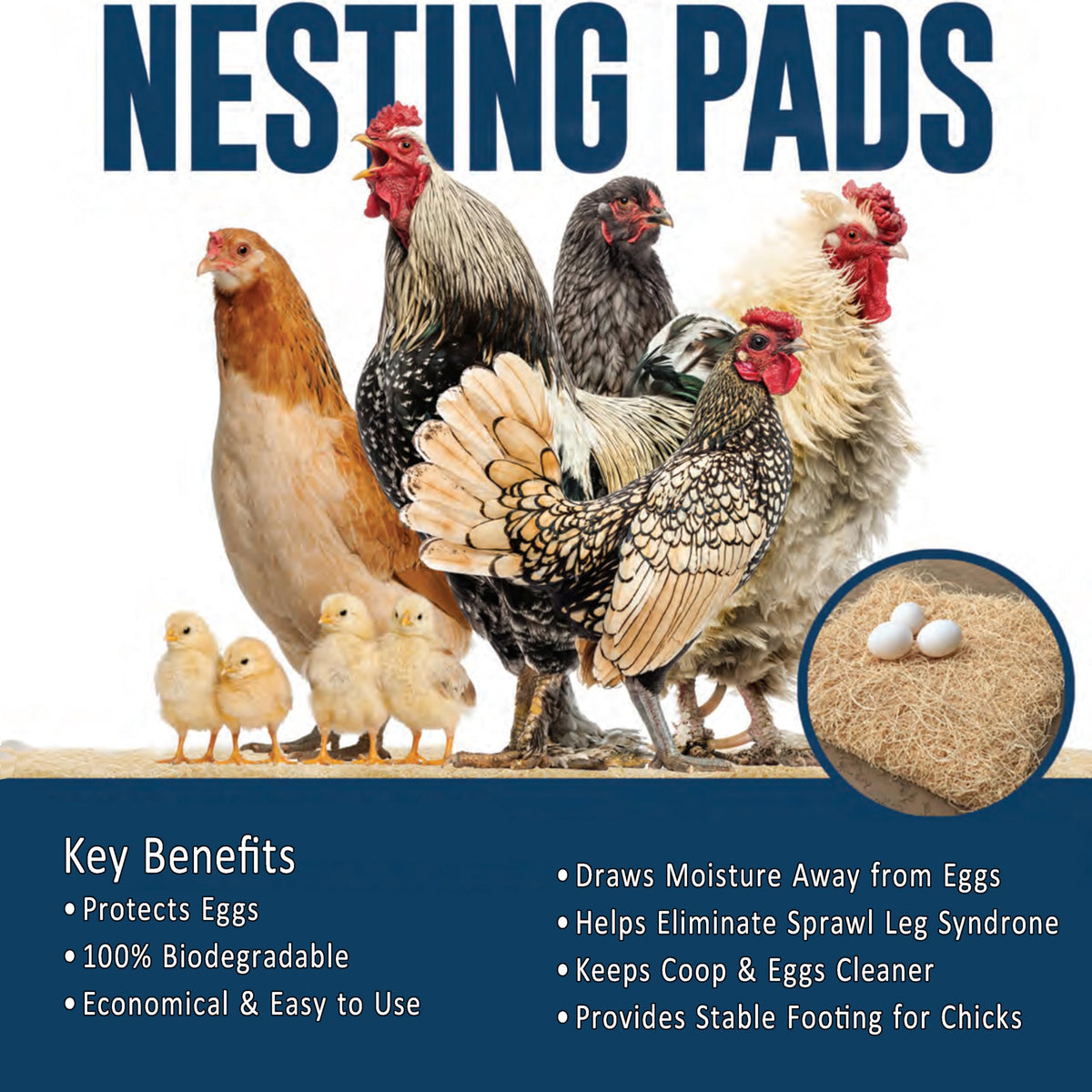 Chicken Nesting Pads for Chicken Coop Accessories - 12 Pack - USA Aspen - Professional Grade Excelsior Bedding - Easy Clean Up - Absorbs Moisture 100% Natural, Liners for Laying Hens - Fits 12x12 Box