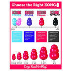 2 Pack Large Kong Classic