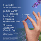 Garden of Life Dr. Formulated Probiotics Prostate+ - Acidophilus and Probiotic Supports Healthy Prostate and Digestive Balance - Shelf Stable - Gluten, Dairy, and Soy-Free - 60 Vegetarian Capsules