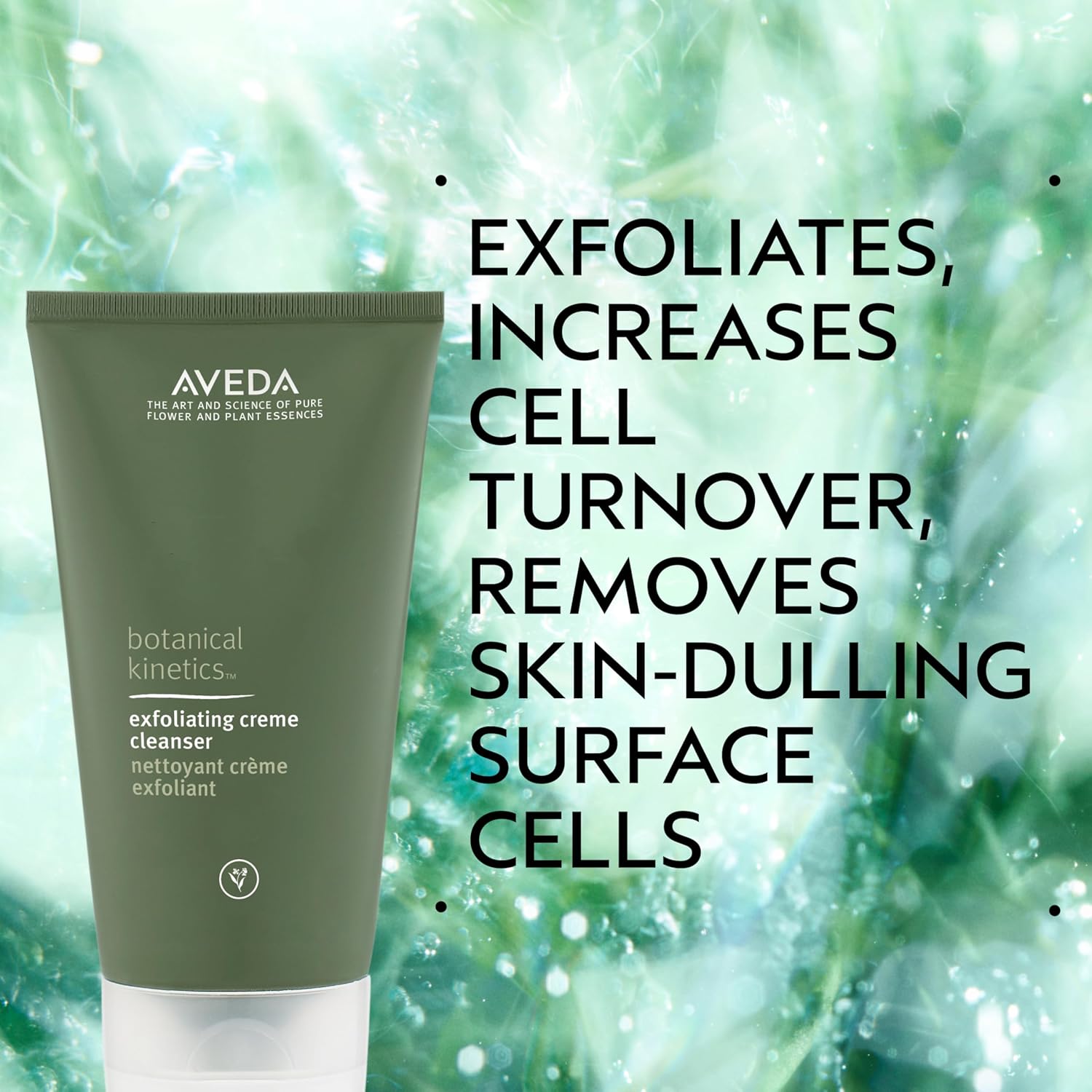 Buy now Aveda Botanical Kinetics Exfoliating Creme Cleanser | Increases Cell Turnover, Removes Skin-Dulling Surface Cells | with Mango Butter, 5 Fl Oz at indiglob india