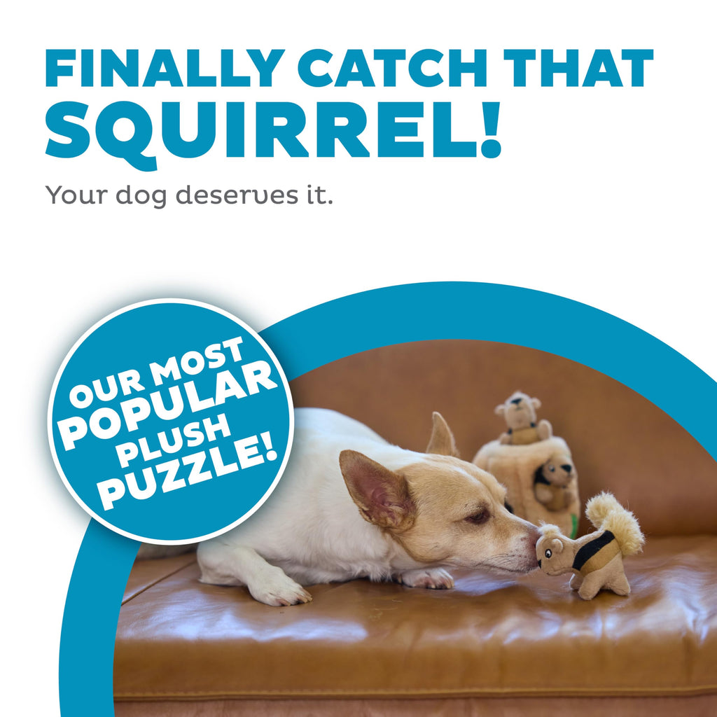 Outward Hound Hide-A-Squirrel Plush Squeaky Dog Toy, Small, 5" x 7"